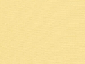 37127 perla FR 31027 202106 1